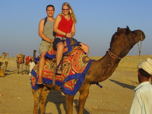 Camel Safari