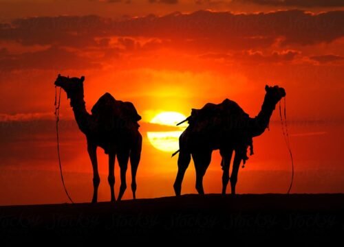 02 Nights Jaisalmer Package Jaisalmer
