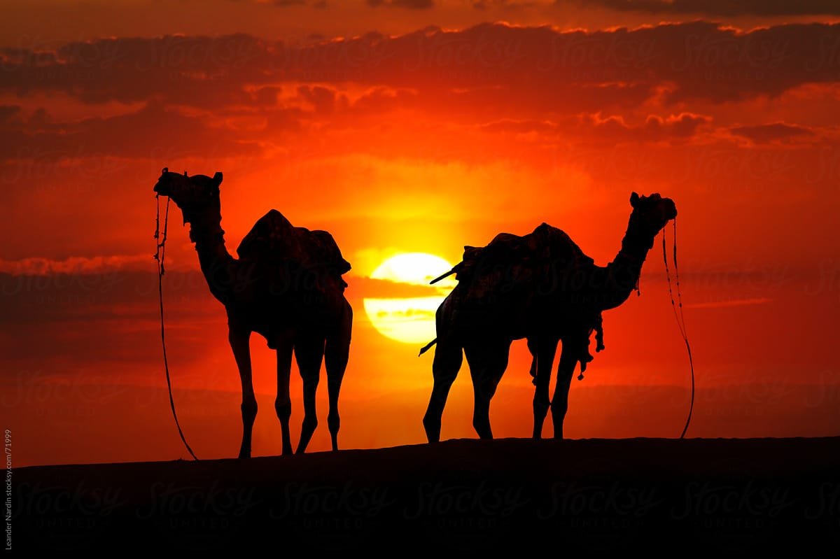 02 Nights Jaisalmer Package Jaisalmer